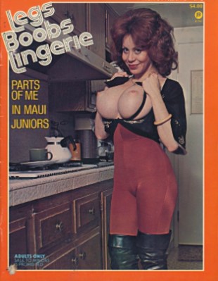 Legs, Boobs & Lingerie - Vol 06 No 02 (1979)