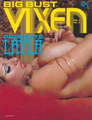 Big Bust Vixens - Vol 01 No 02 (1981)