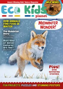 Eco Kids Planet Magazine – issue 135, January 2026